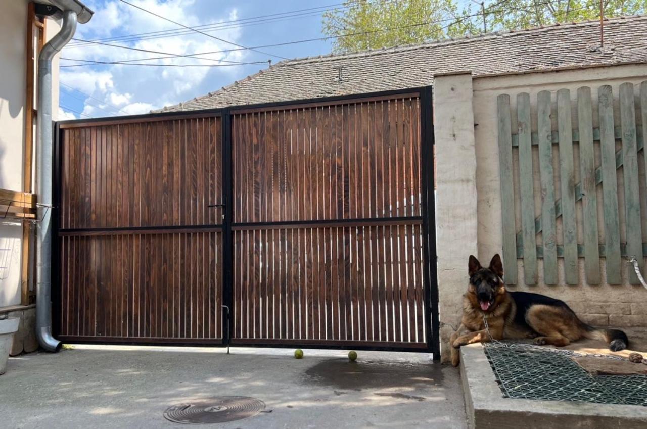 Sremski Karlovci Center Homestay المظهر الخارجي الصورة